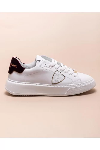 Temple - Leather and velvet sneakers with round toe